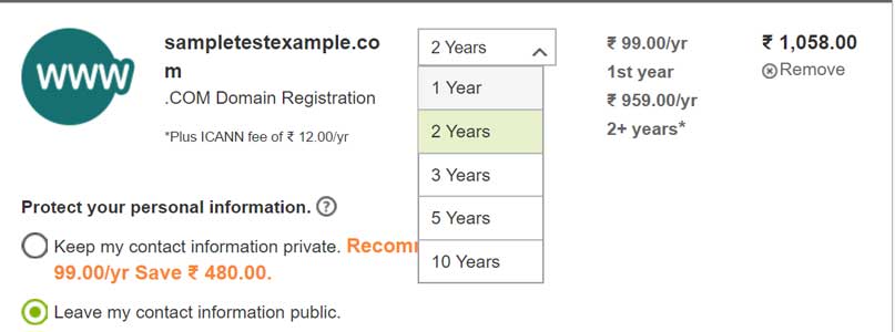 Domain & Hosting Duration Screenshot